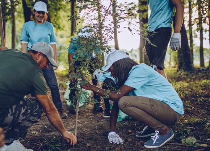 Volunteers planting a tree.